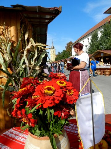 Megyei Közfoglalkoztatási Kiállítás 127